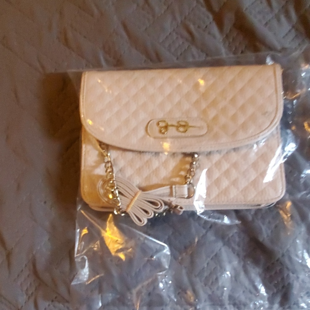 Jessica Simpson  clutch/crossover